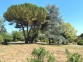 Très belle maison à vendre située à proximité du centre de Casteljaloux